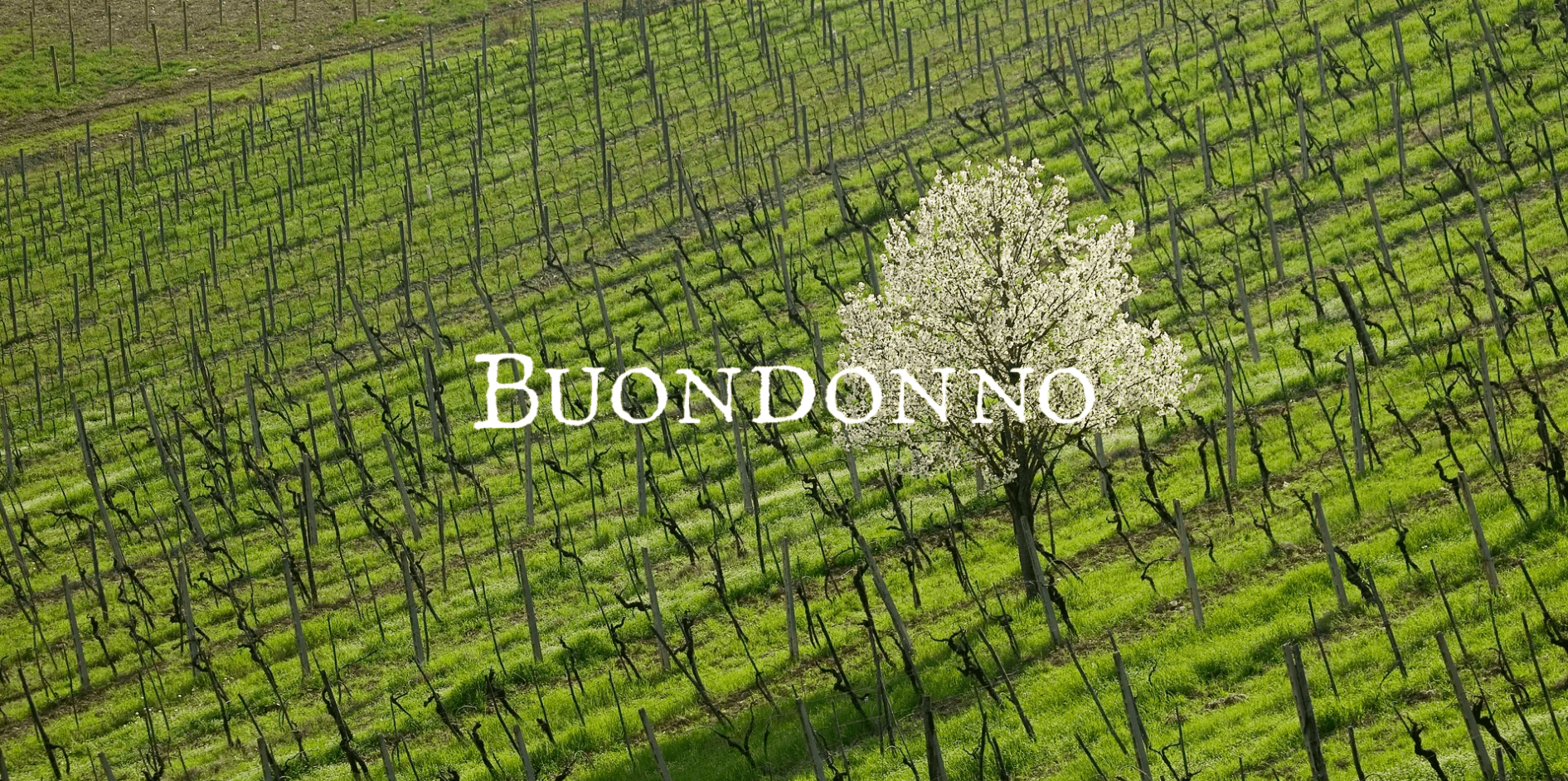 Buondonno — anteprima sito